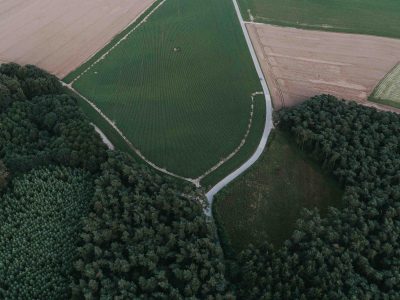 Wald 7 ha – kleiner Forst (Kiefern, Birken)