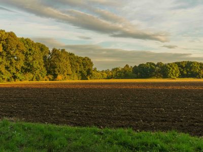 Acker bei Otternhagen