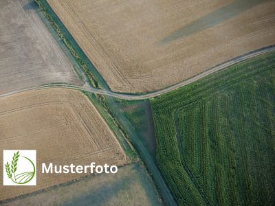 Ackerland zu verkaufen