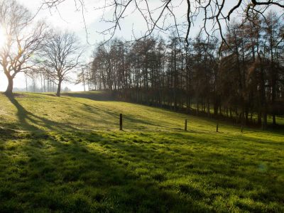 Weide, kleine Parzelle