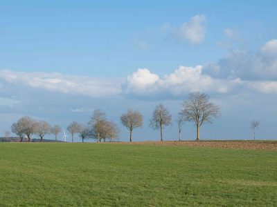 Grünland, hohe Grasleistung